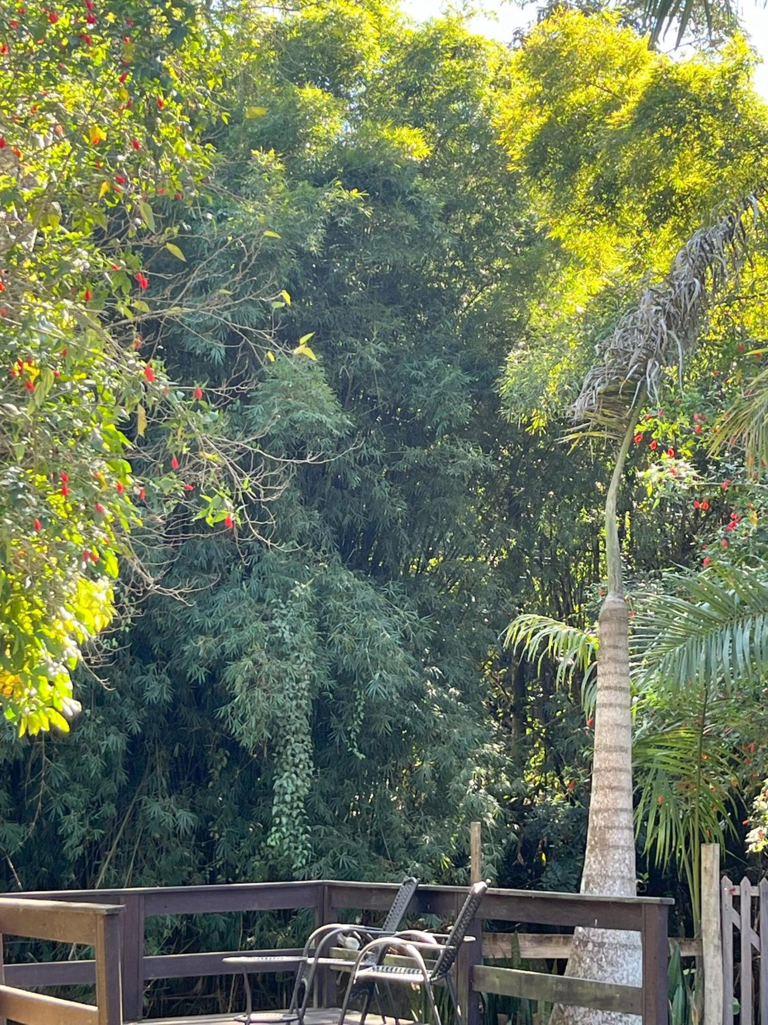 Casa Di Maria 4 Quartos A 500M Centro - Sauna, Piscina, Fogao A Lenha, Churrasqueira - Acesso Privativo Ao Ao Rio - Ideal Para Familias Nova Friburgo Luaran gambar